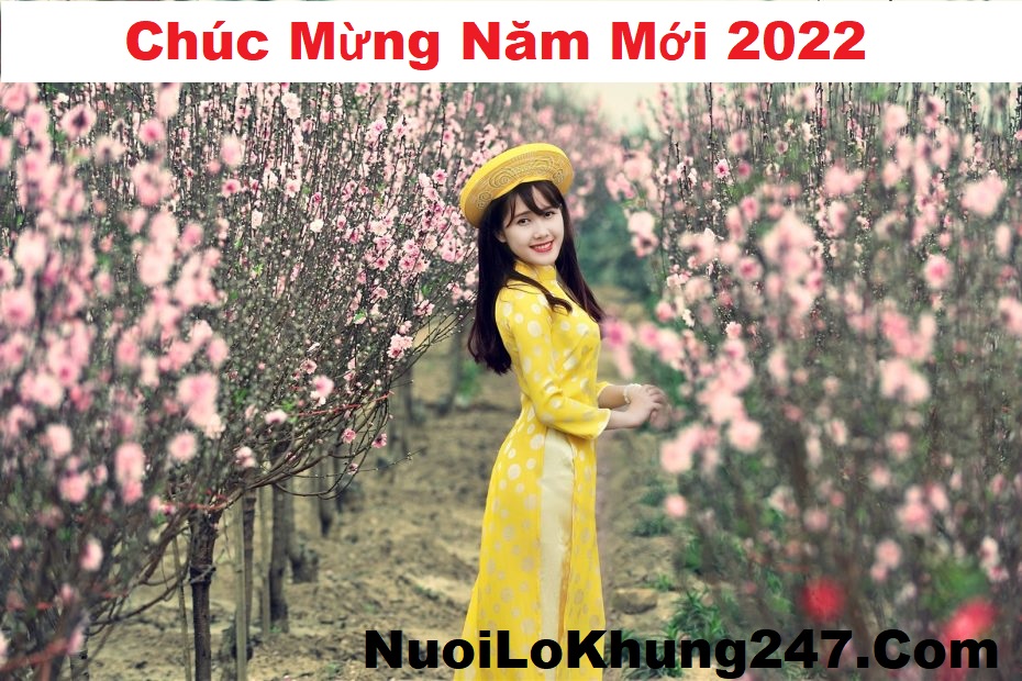 Soi cầu XSMB 02/2/2022